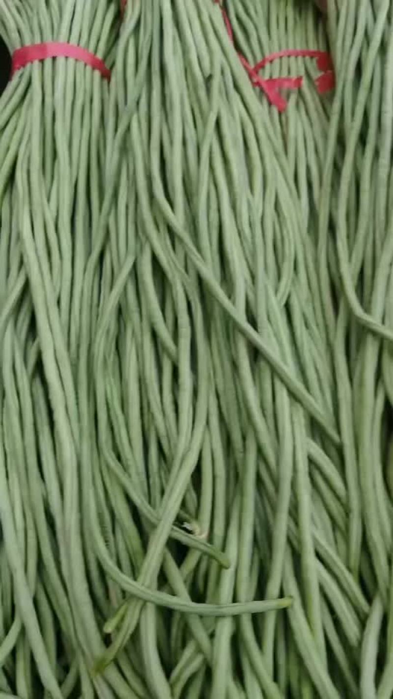 豆角大量上市