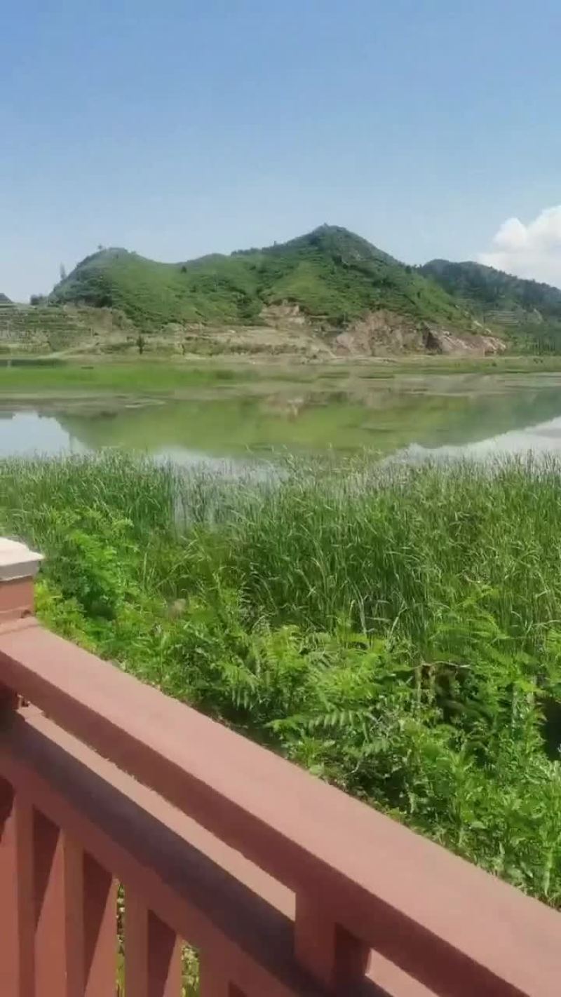 蒲黄