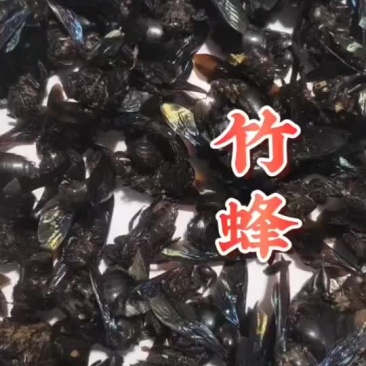 干竹蜂，统货