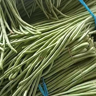 长豆角