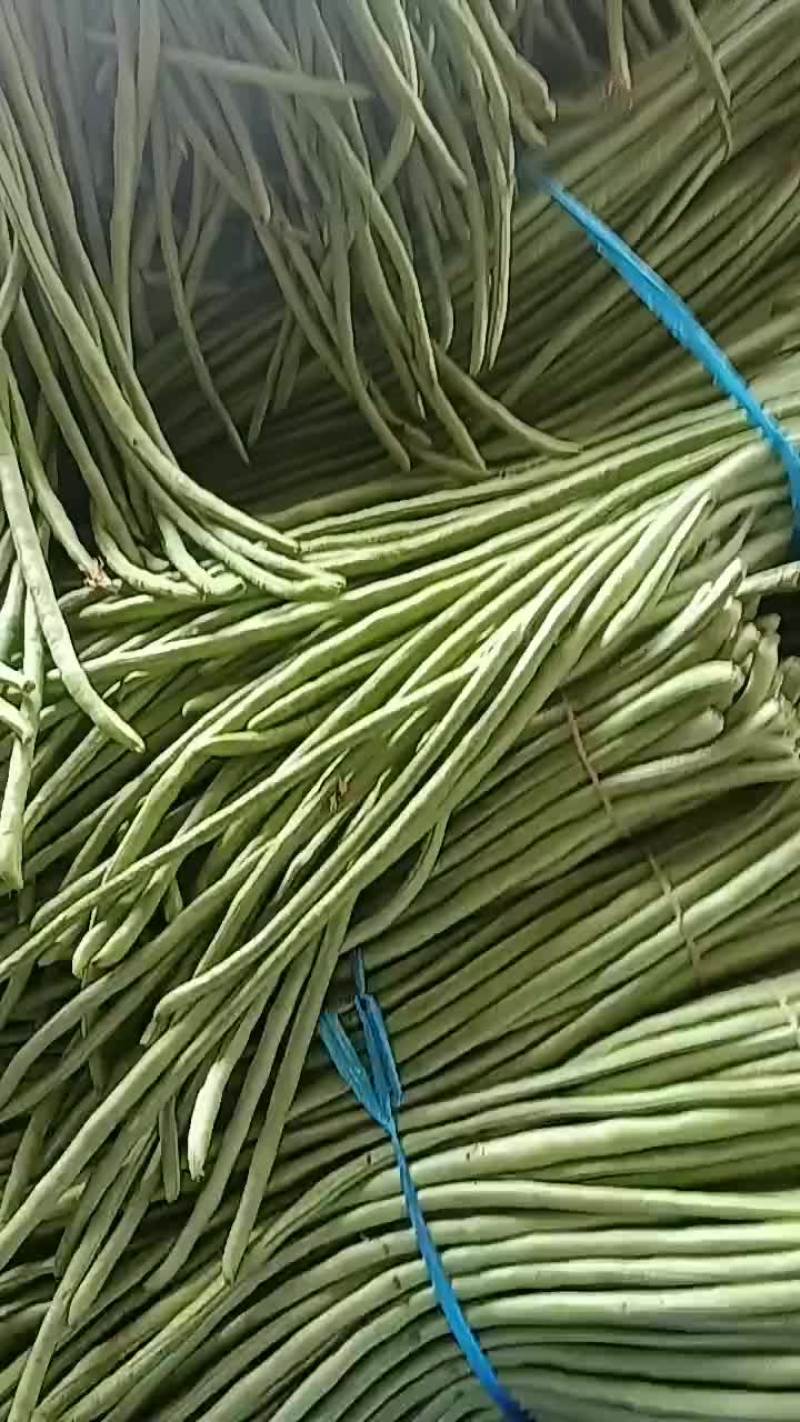 长豆角