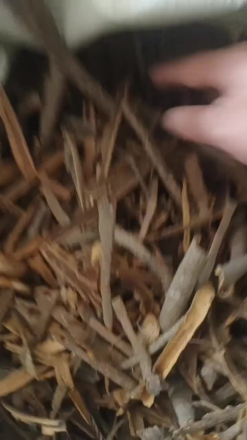 正品桂碎，香味浓郁欢迎大家选购。