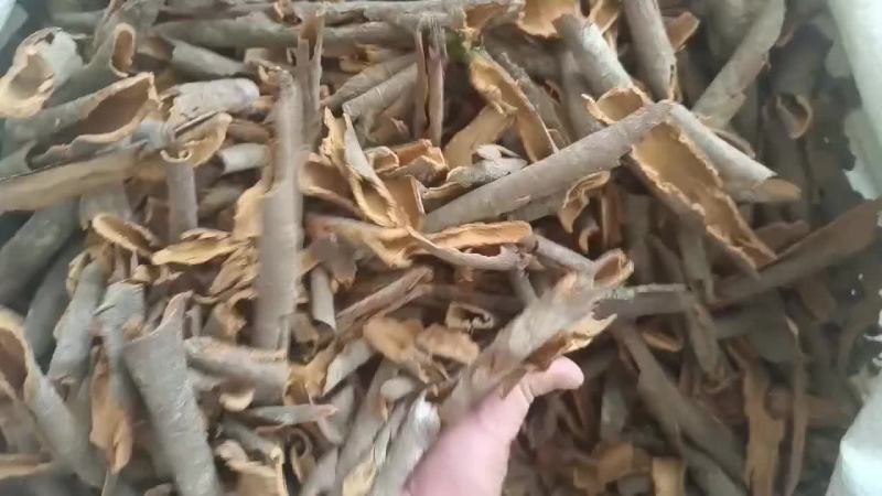 正品桂碎，香味浓郁欢迎大家选购。