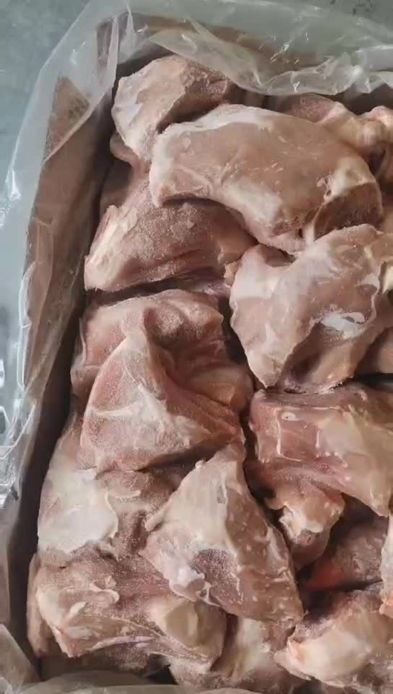 扇子骨到货