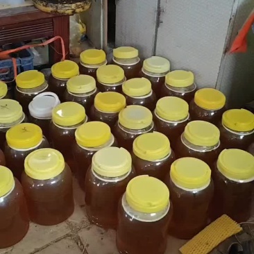 老林子土蜂蜜