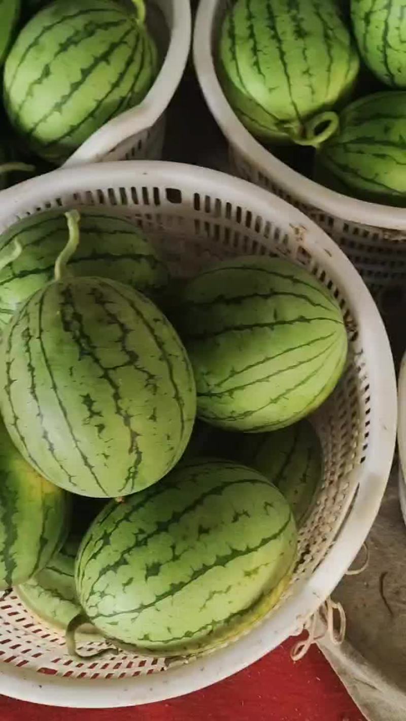 爆炸瓜，口口脆