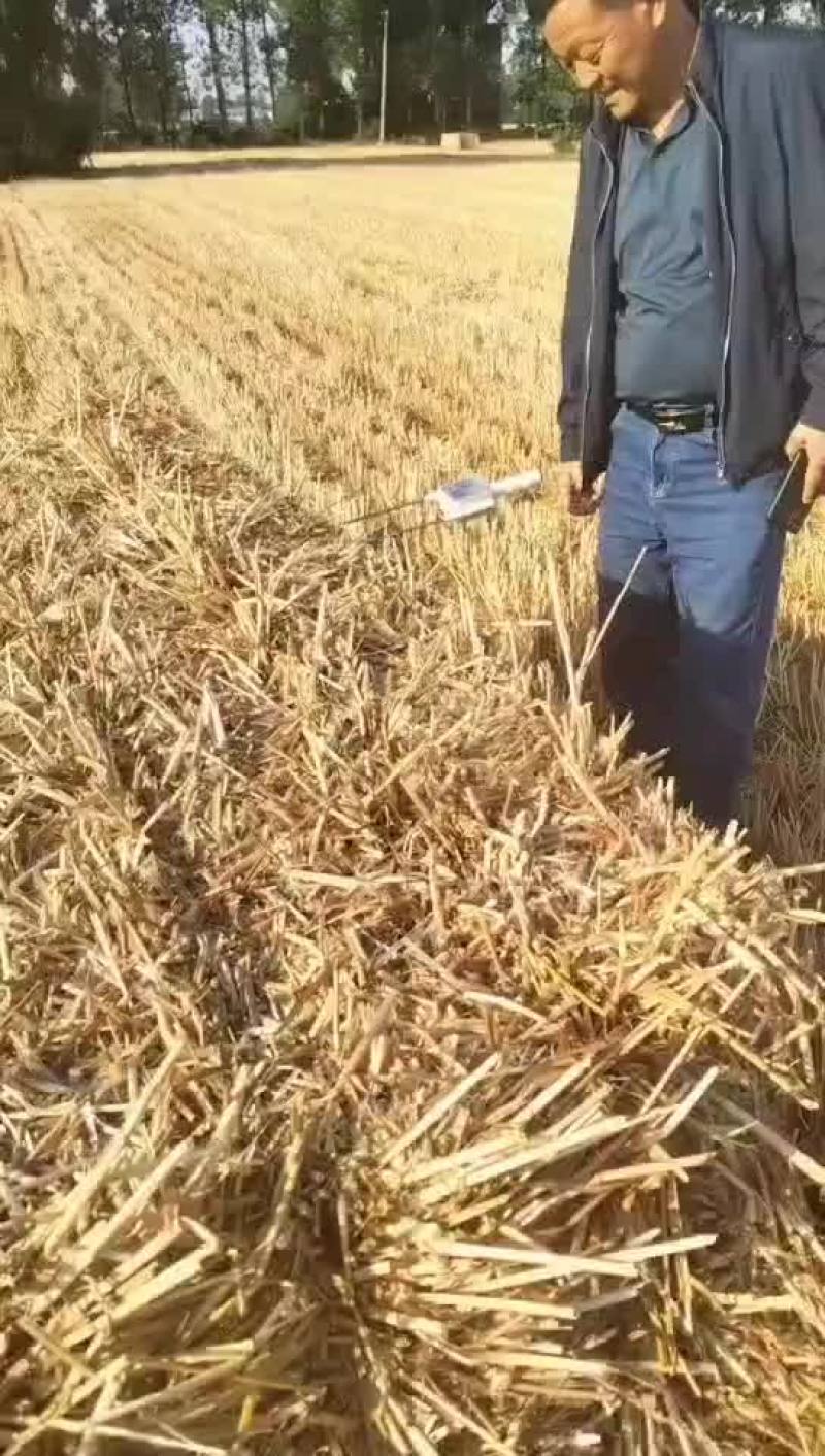 新上市麦草