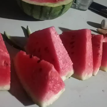 精品麒麟美都价格低质量三包