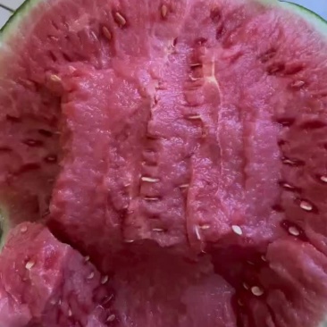 网红手撕西瓜