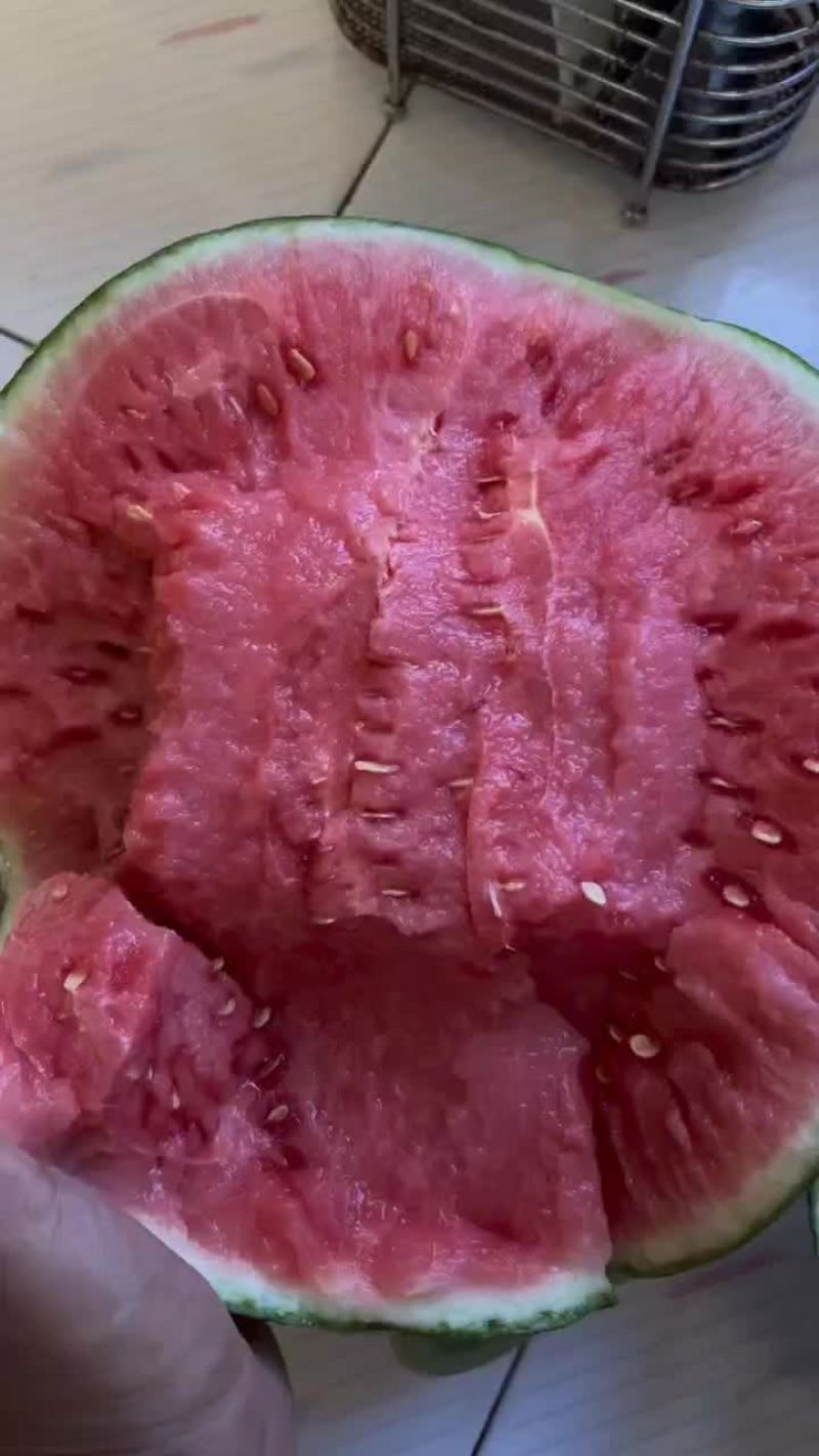 网红手撕西瓜