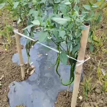欢迎老板来电咨询