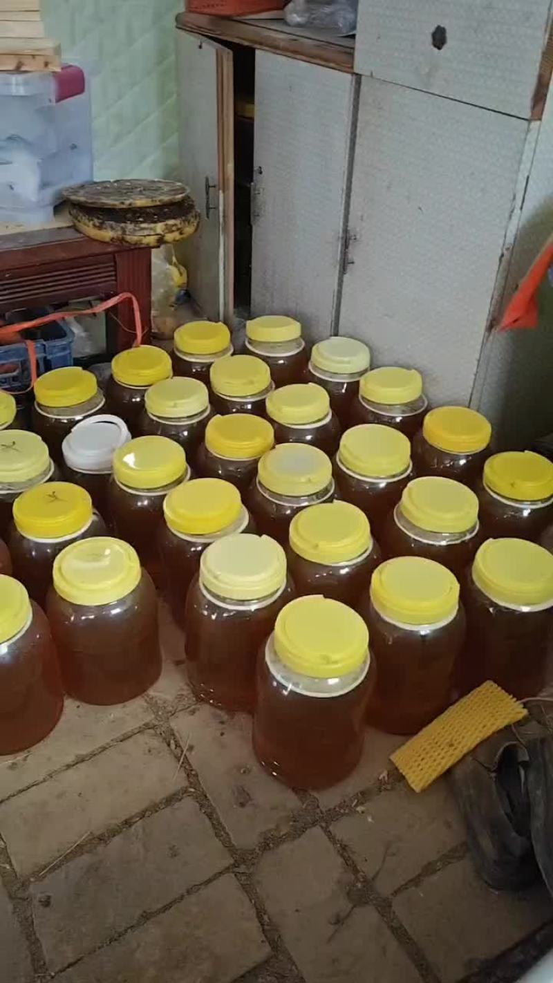 老林子土蜂蜜自产自销