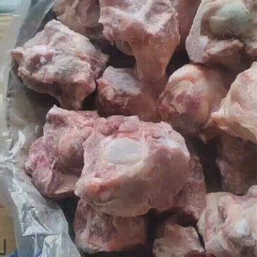 多肉猪棒骨