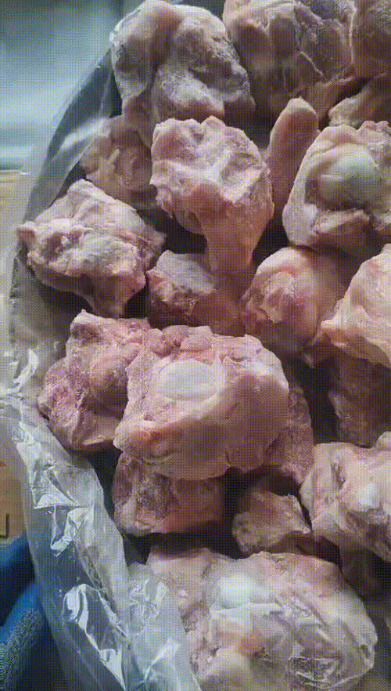 多肉猪棒骨