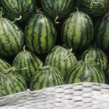产地直发，量大价格好