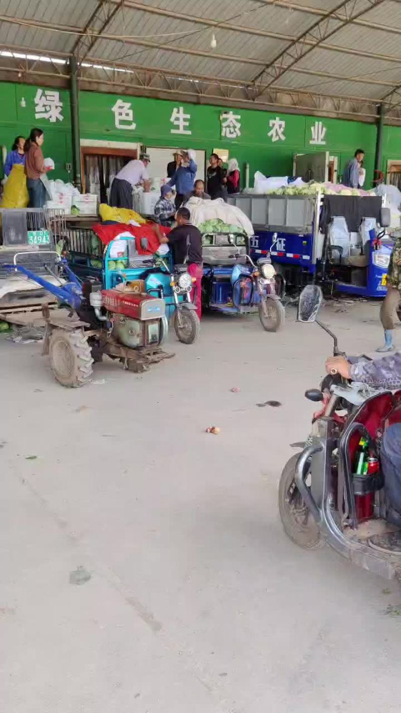 兰州精品松花