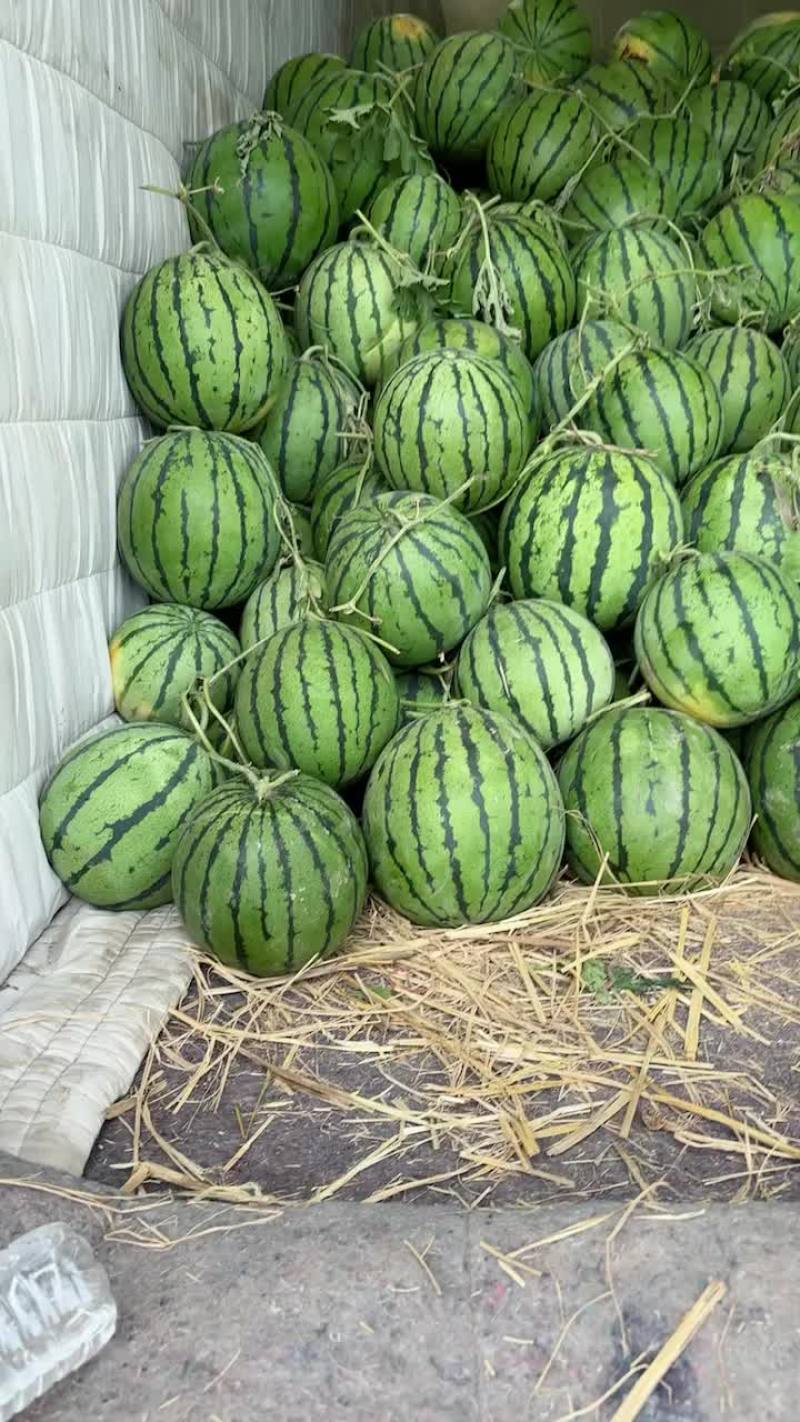 霸州直播京欣
