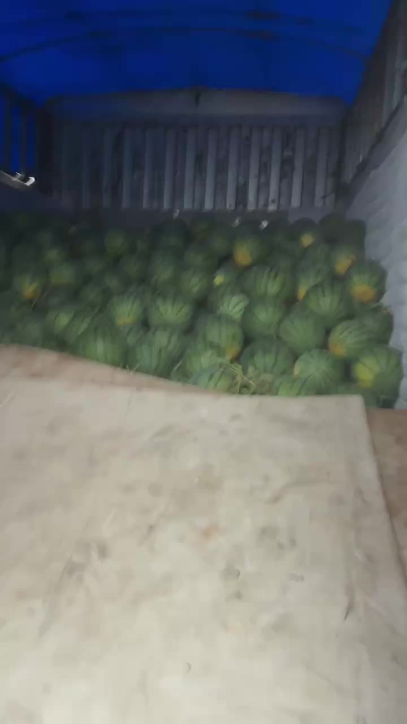 霸州直播京欣