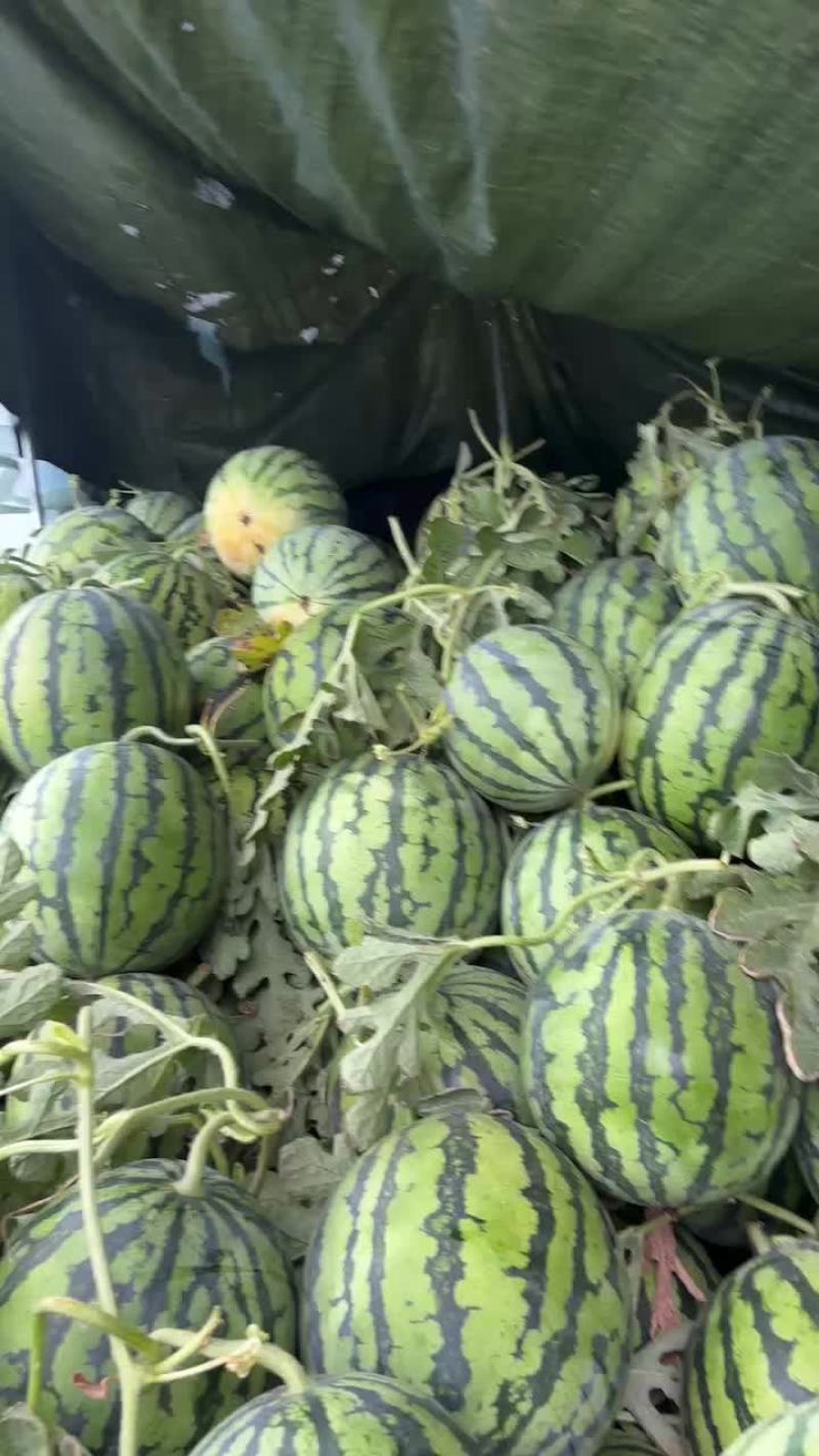霸州直播京欣