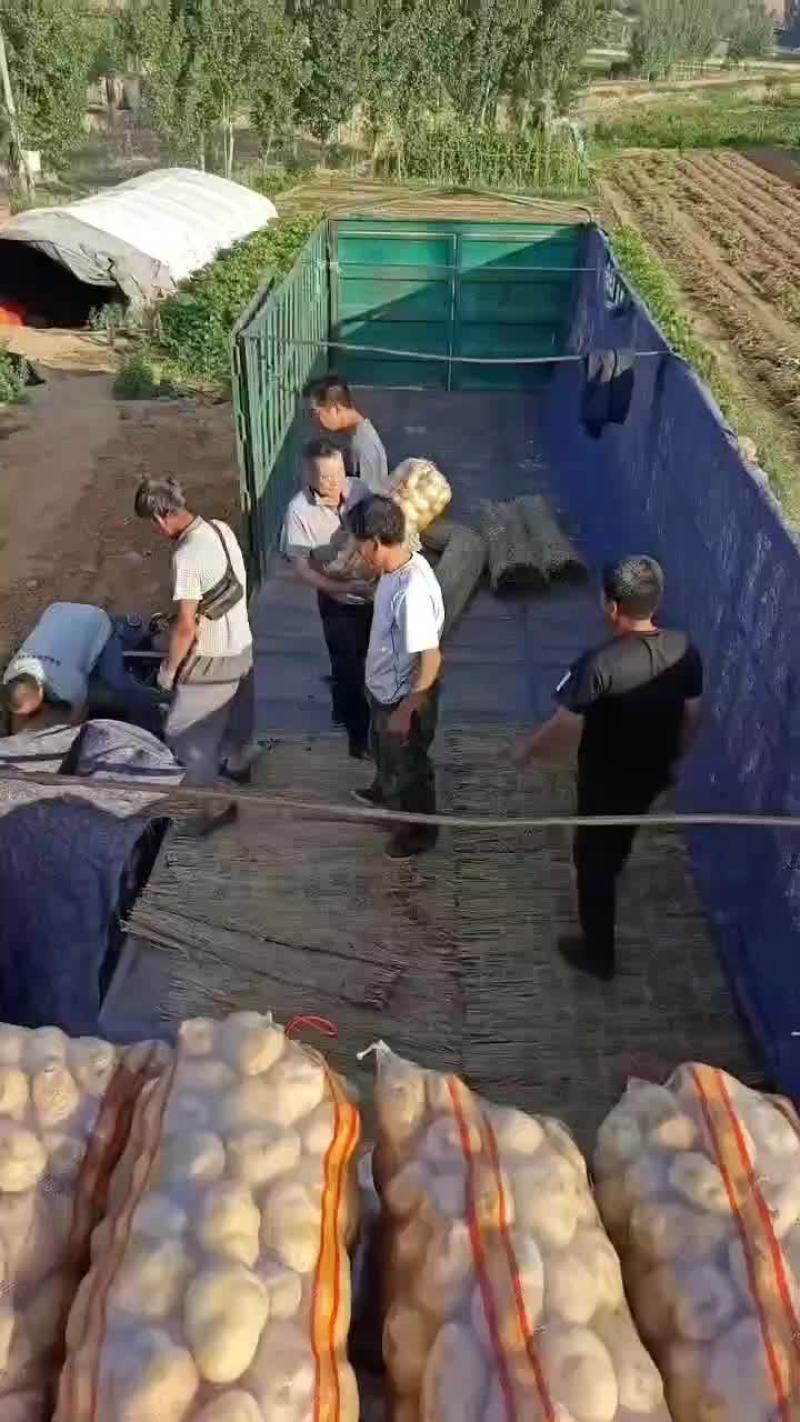 土豆