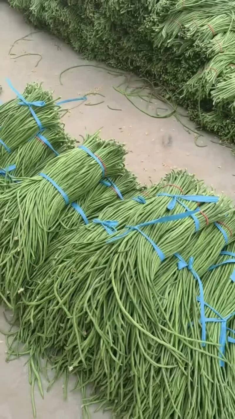 精品长豆角