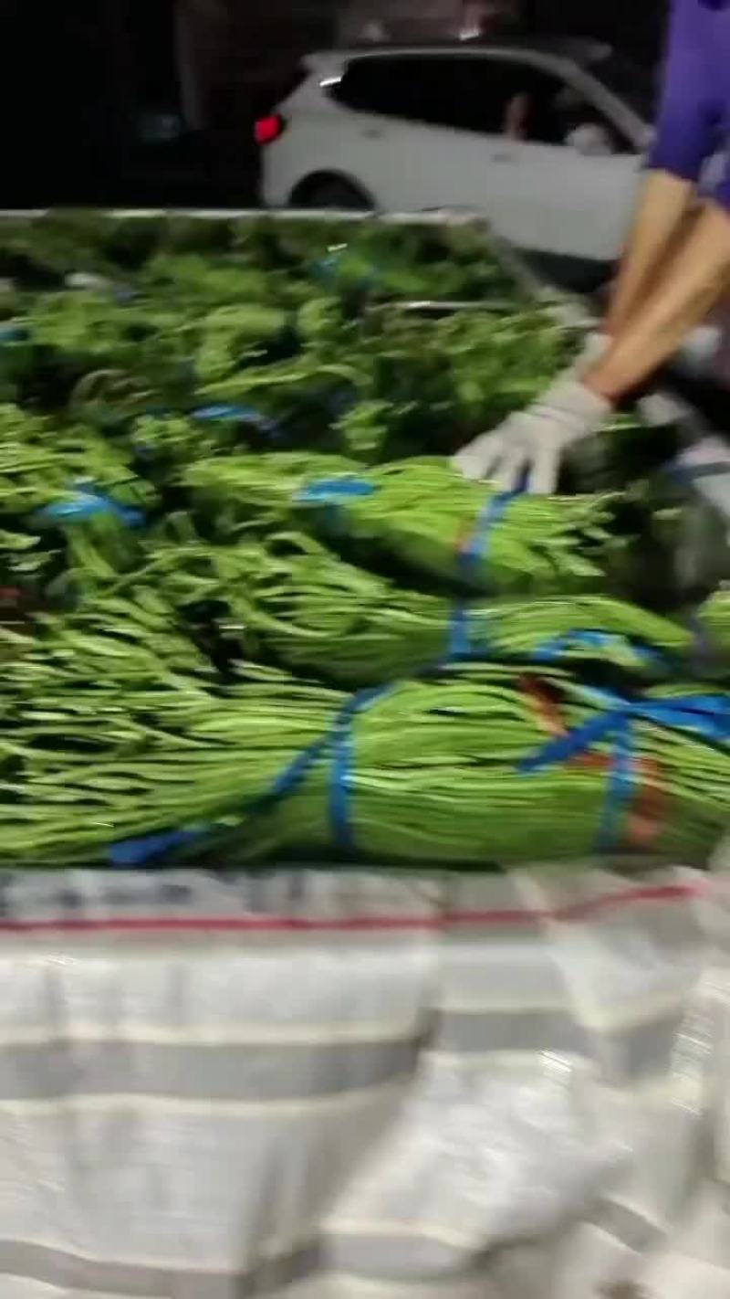 精品长豆角