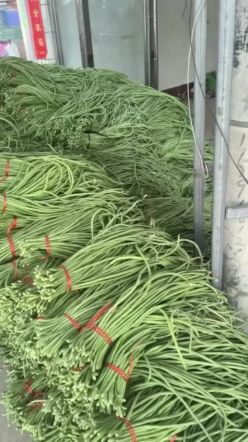 精品长豆角