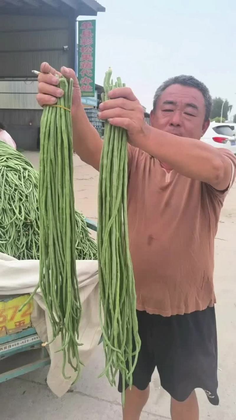精品长豆角