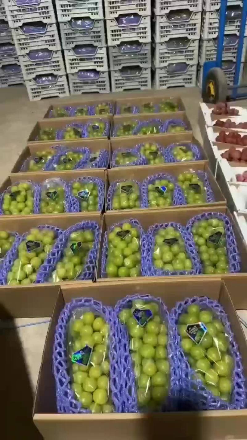 维多利亚，夏黑，阳光玫瑰