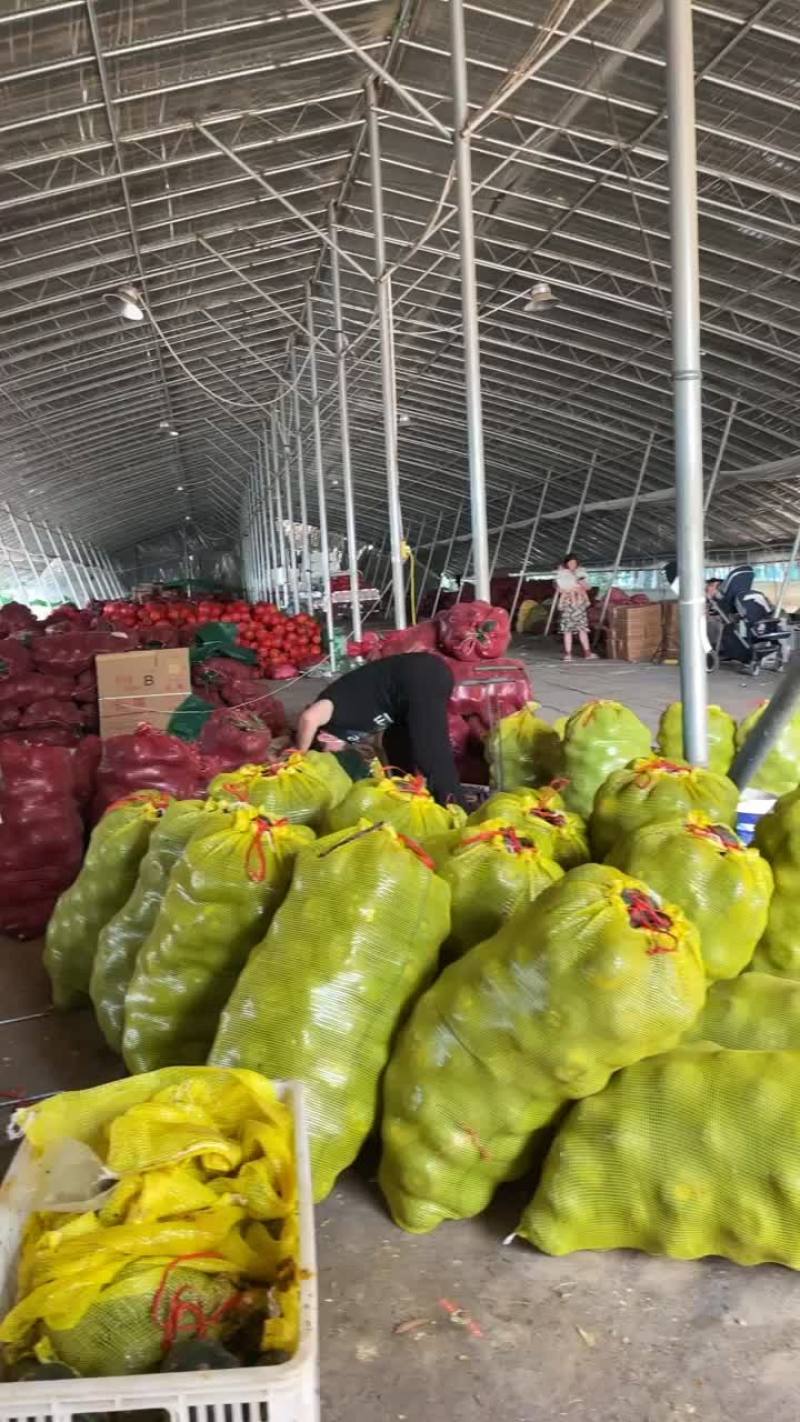 便宜地爬瓜