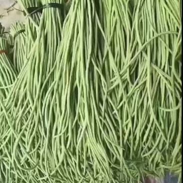 豆角