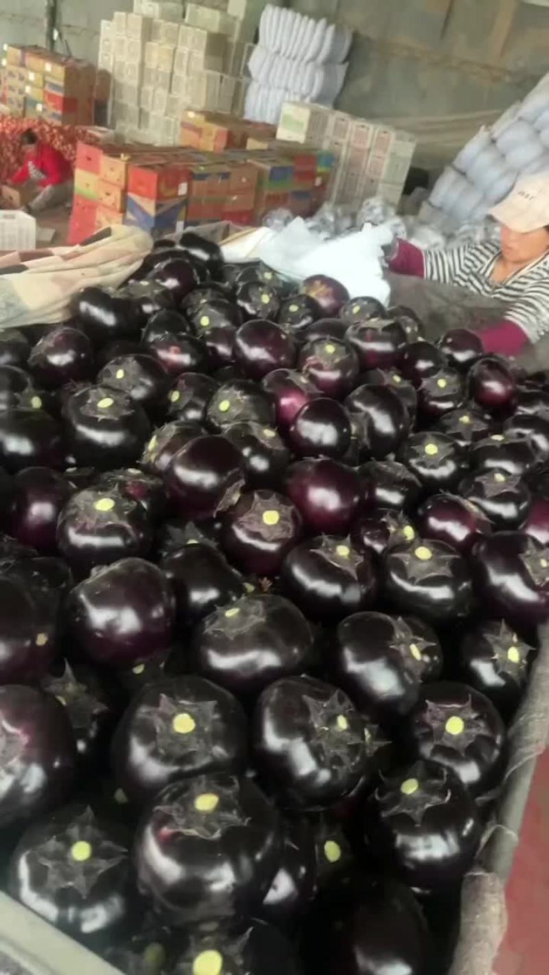 茄子