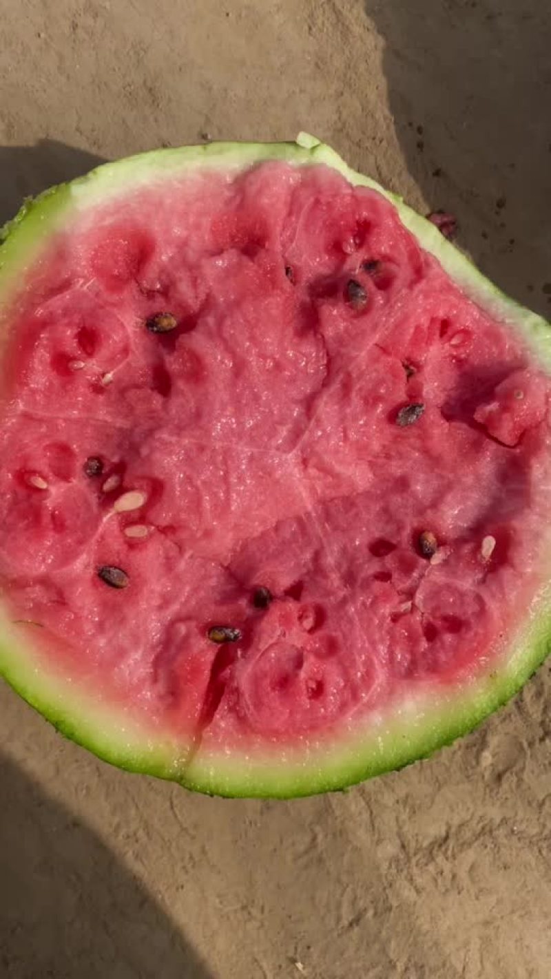 麒麟美都