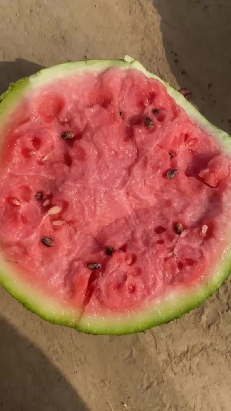 麒麟美都