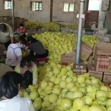 玉菇