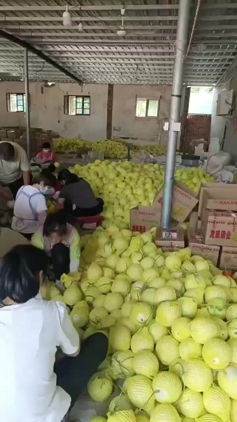 玉菇