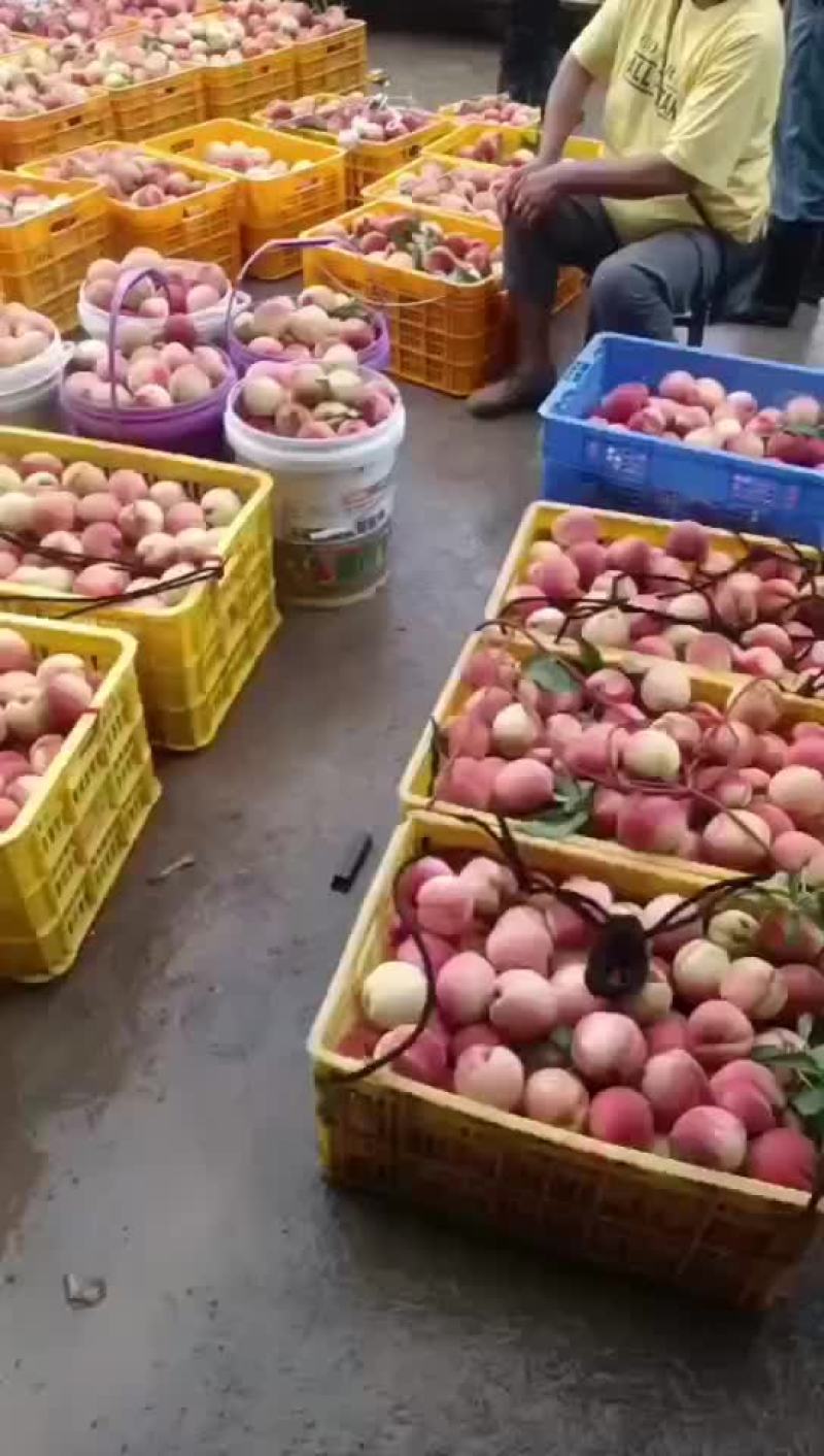 美翠口感脆酸甜口感味道很好