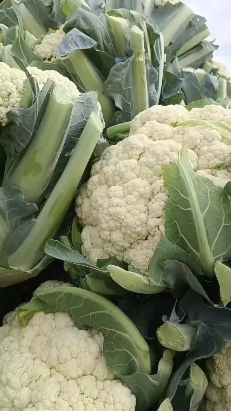 散花
