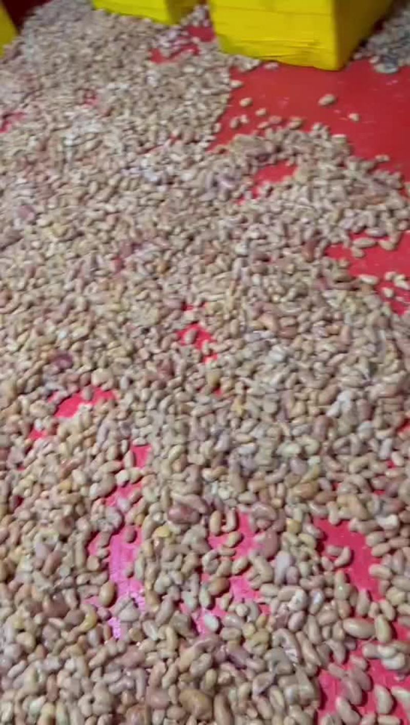 鸡腰子