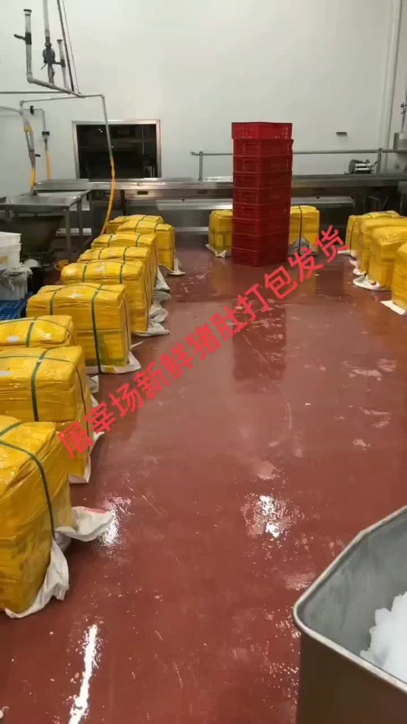 鲜品猪肚，无油精品，全国发货，价格美丽，有需求来