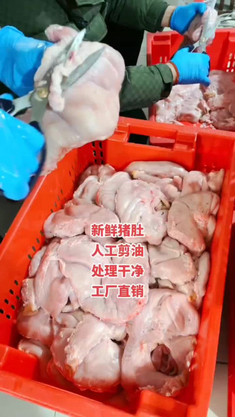 鲜品猪肚，无油精品，全国发货，价格美丽，有需求来