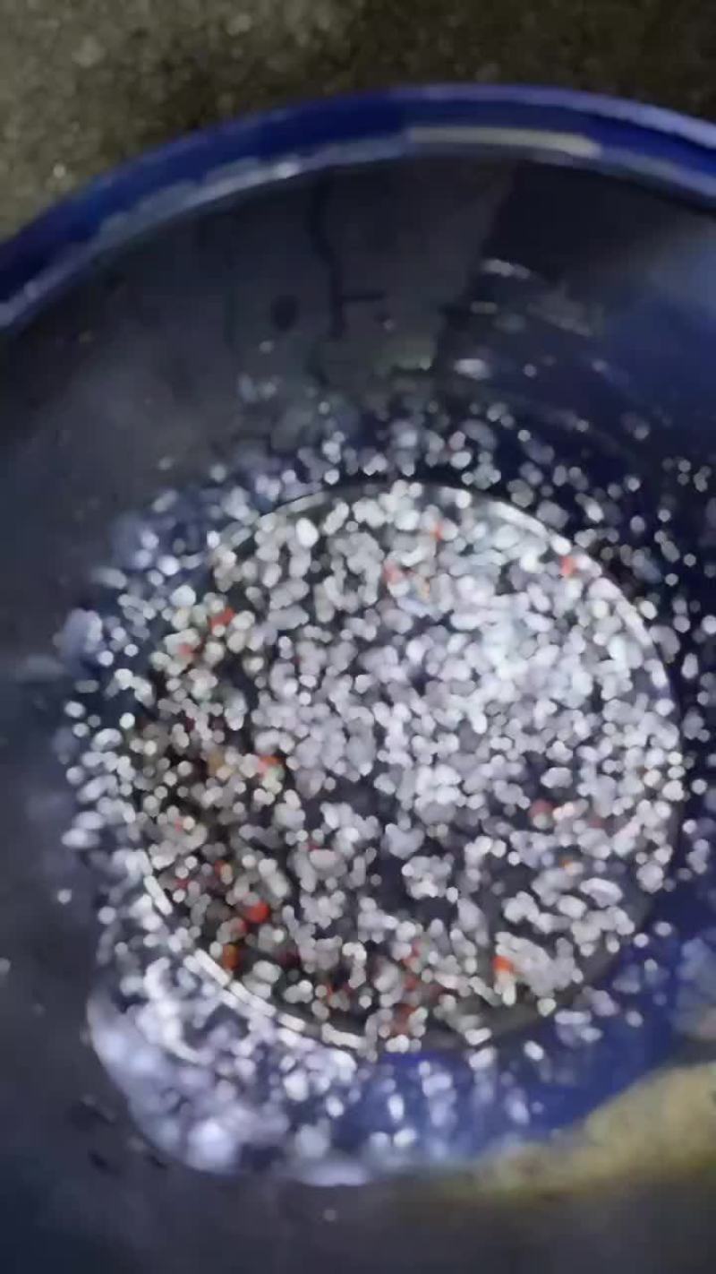 九香虫餐饮货