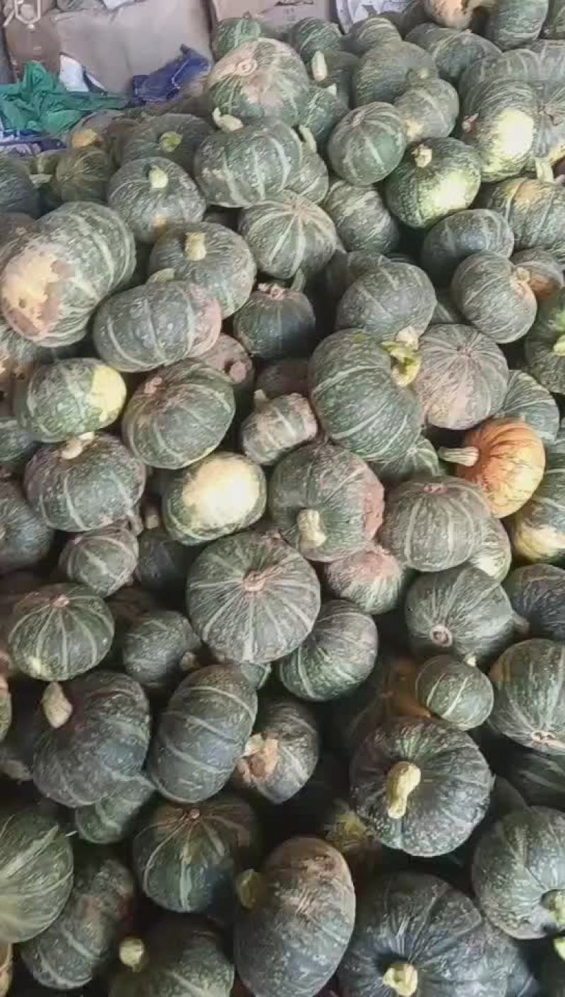 板栗南瓜，量大，现货，装车快，要货速度联系我