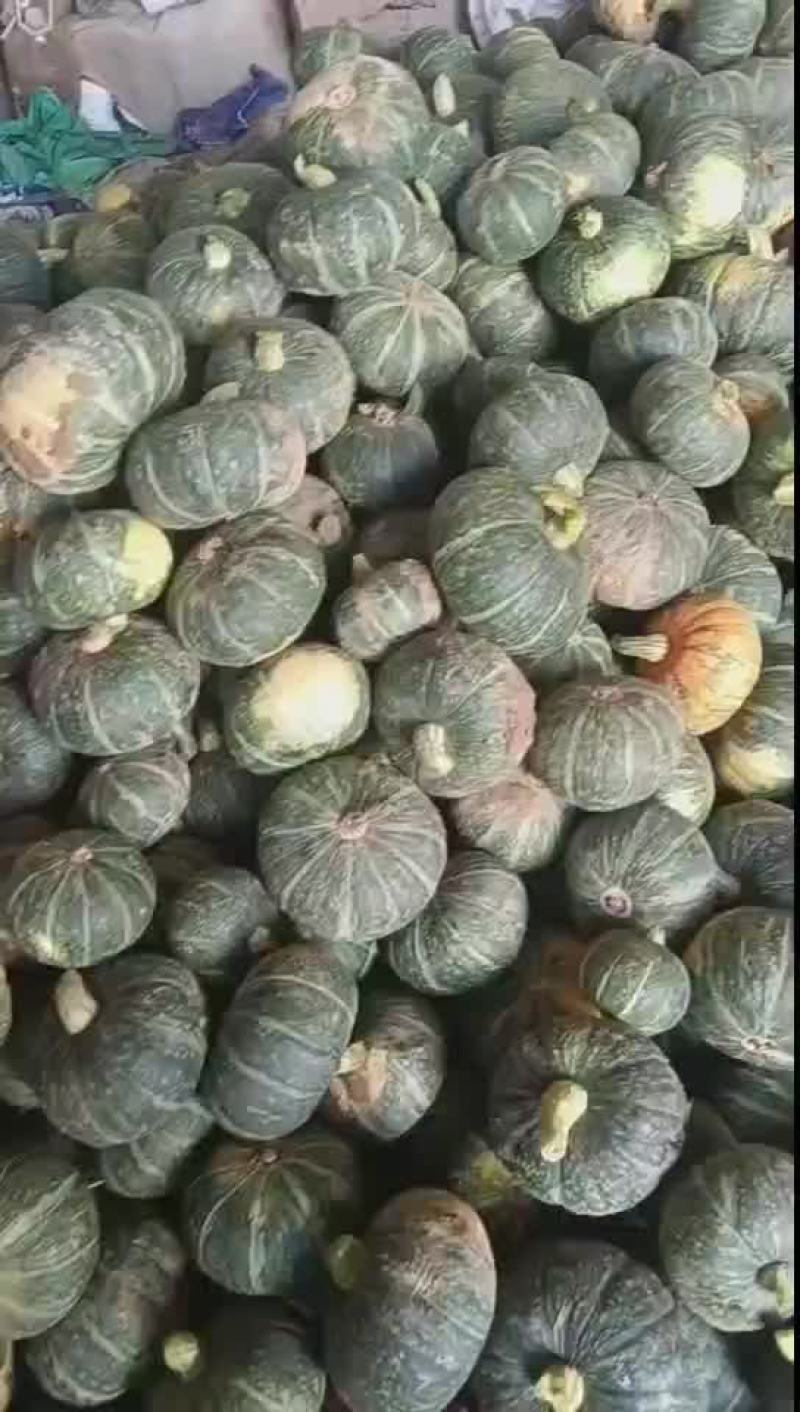 板栗南瓜，二到三斤，量大，出货快，装车快