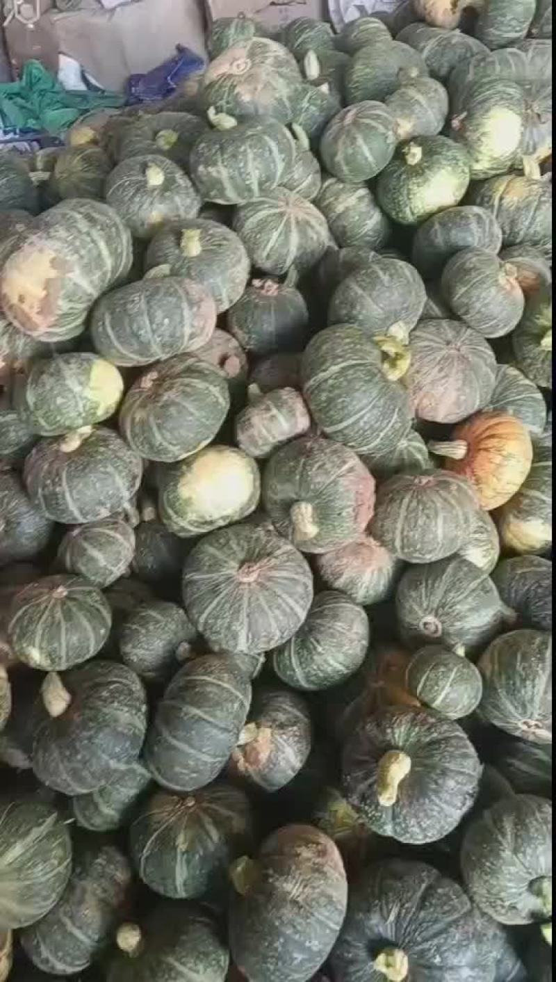 板栗南瓜，二到三斤，量大，出货快，装车快