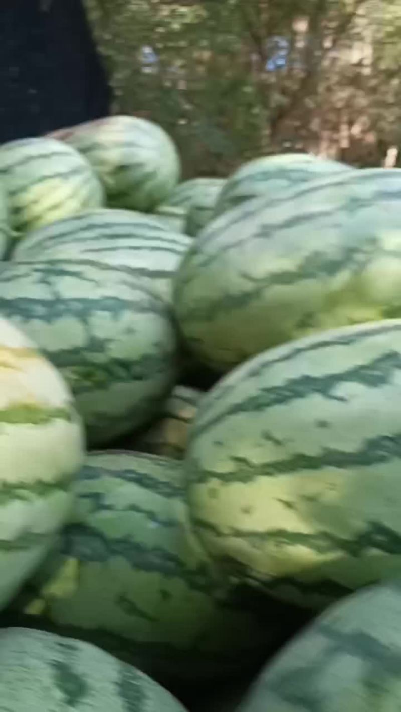 金花西瓜，