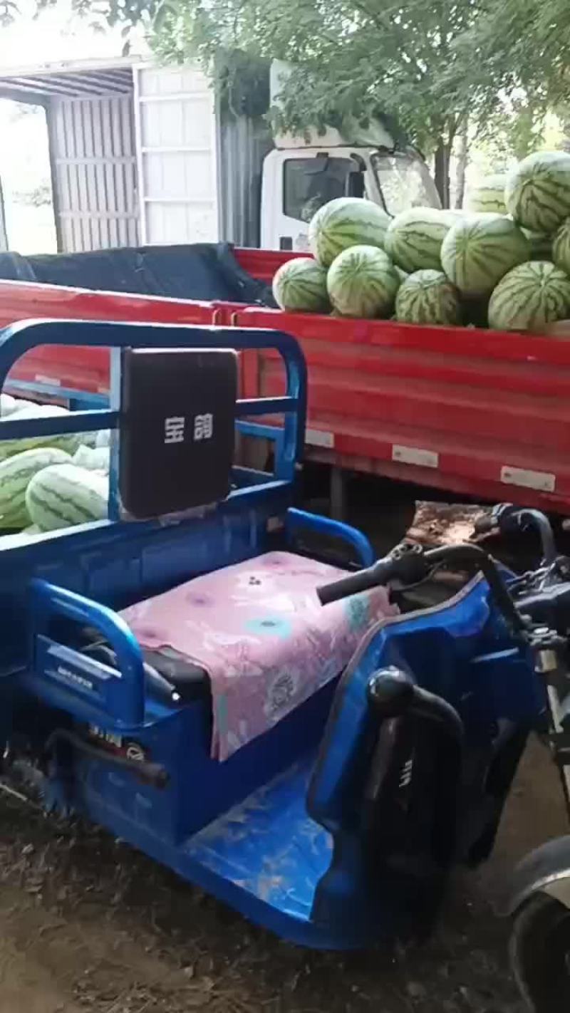 金花西瓜，