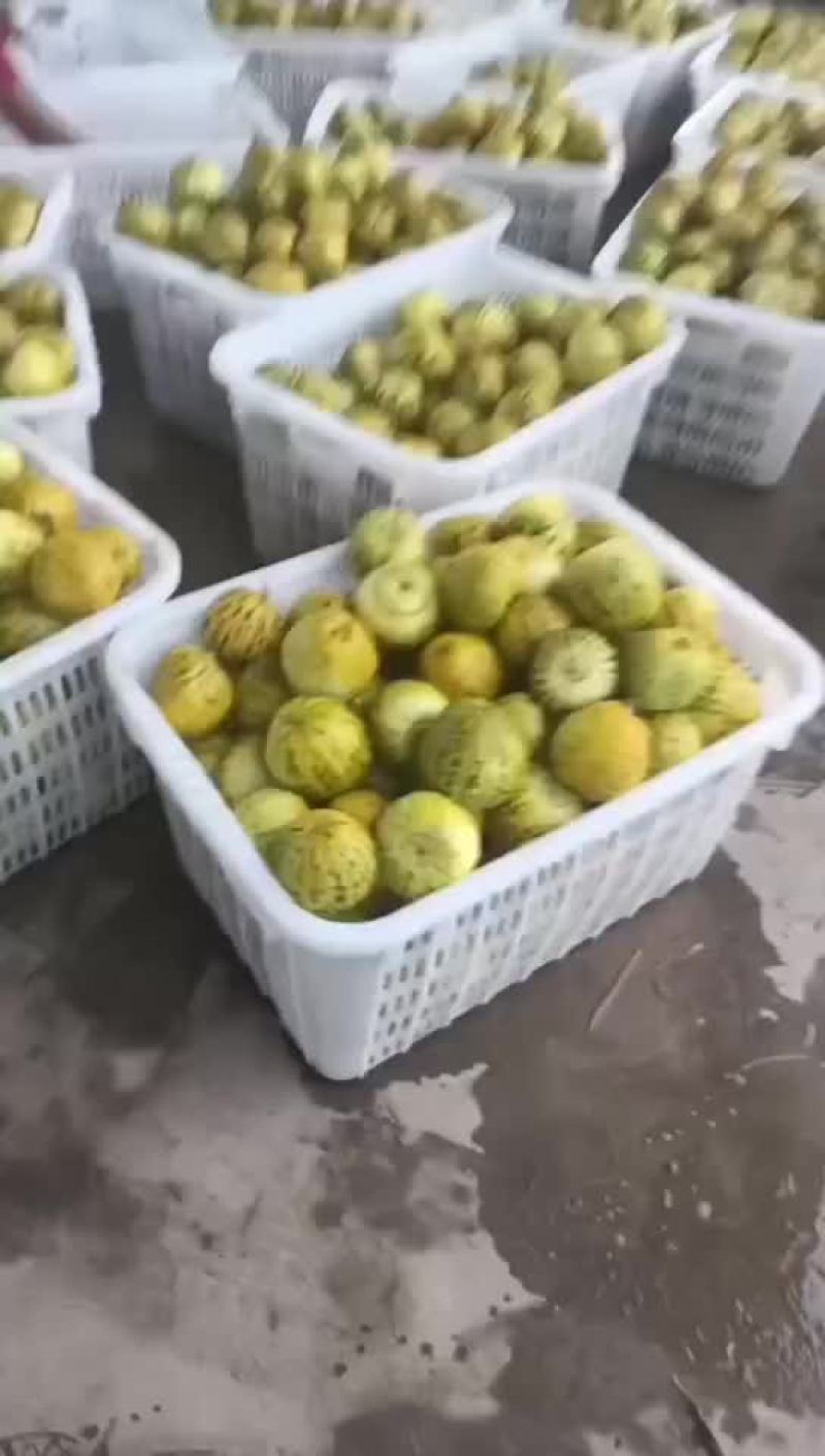 花蜜
