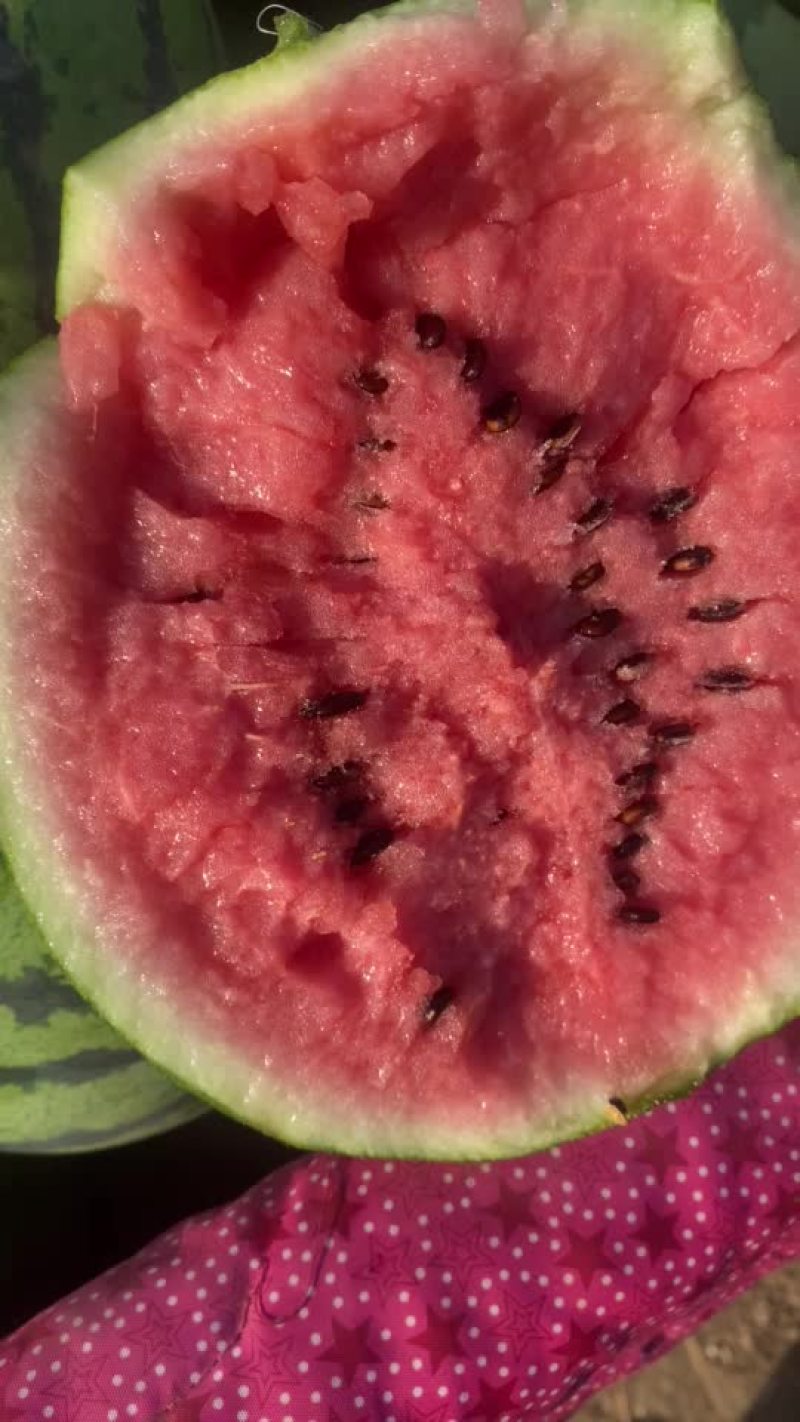 麒麟美都