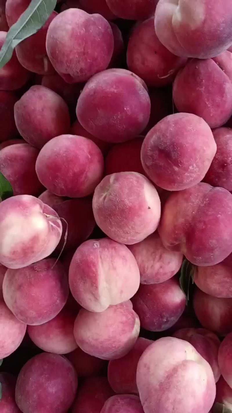 水蜜桃